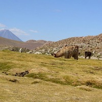 Foto de San Pedro de Atacama