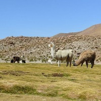 Foto de San Pedro de Atacama