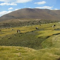 Foto de San Pedro de Atacama