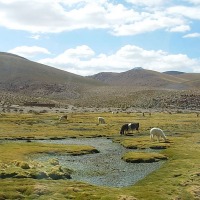Foto de San Pedro de Atacama