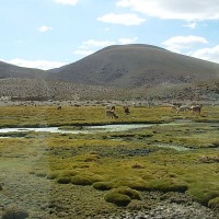 Foto de San Pedro de Atacama