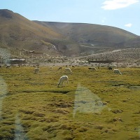Foto de San Pedro de Atacama