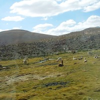 Foto de San Pedro de Atacama