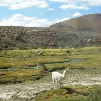Foto de San Pedro de Atacama