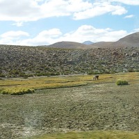 Foto de San Pedro de Atacama