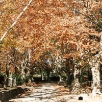 Foto de Alta Gracia - Córdoba
