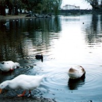 Foto de Alta Gracia - Córdoba