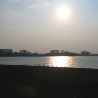 Foto de Rotterdam
