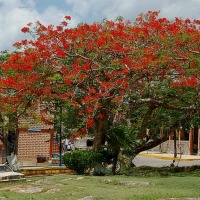 Foto de Bacalar