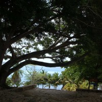 Foto de Bacalar