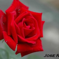 Foto de Jerez de la Frontera