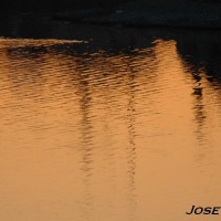 Foto de Jerez de la Frontera