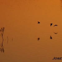 Foto de Jerez de la Frontera