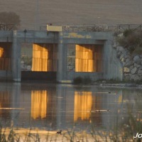 Foto de Jerez de la Frontera