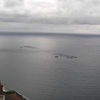Foto de Santa Cruz de Tenerife