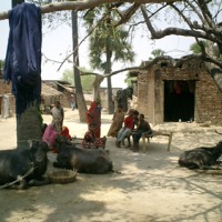 Foto de Bodgaya