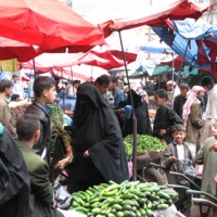 Foto de Ibb