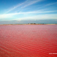 Foto de Las Cumaraguas