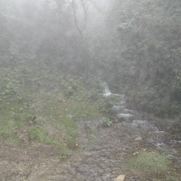 Foto de Queniquea