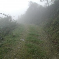 Foto de Queniquea