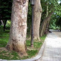 Foto de Oviedo