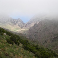 Foto de Masca