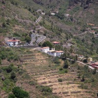 Foto de Masca