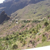 Foto de Masca