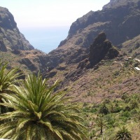 Foto de Masca
