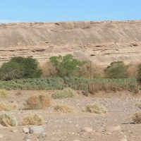 Foto de San Pedro de Atacama