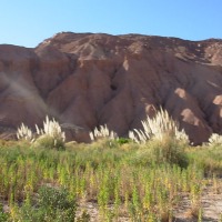 Foto de San Pedro de Atacama