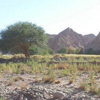 Foto de San Pedro de Atacama