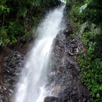 Foto de Isla San Vicente