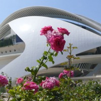 Foto de Valencia