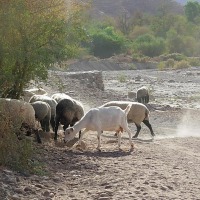 Foto de San Pedro de Atacama