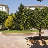 Foto de Ariza