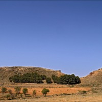 Foto de Ariza