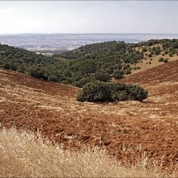 Foto de Ariza
