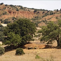 Foto de Ariza