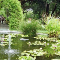 Foto de Puerto de la Cruz