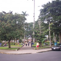 Foto: PARQUE PALMARES - Alajuela