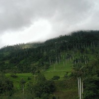 Foto de Cutervo - San Andres