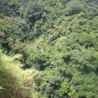 Foto de Alajuela