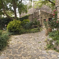 Foto de Medinaceli