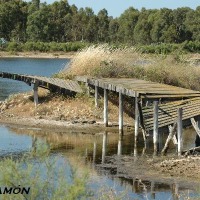 Foto de Puerto Real