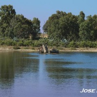 Foto de Puerto Real