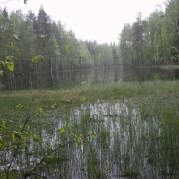 Foto de Leivonmaki