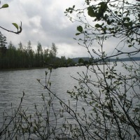Foto de Leivonmaki
