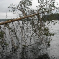 Foto de Leivonmaki