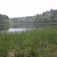 Foto de Leivonmaki